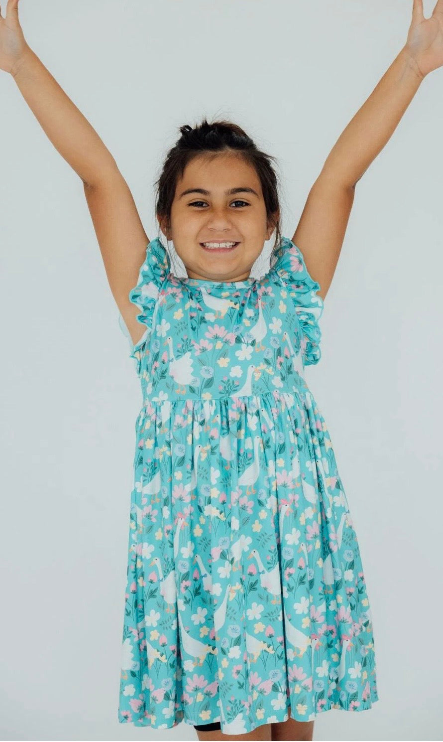 MR Silly Goose Flutter Sleeve Twirl Dress