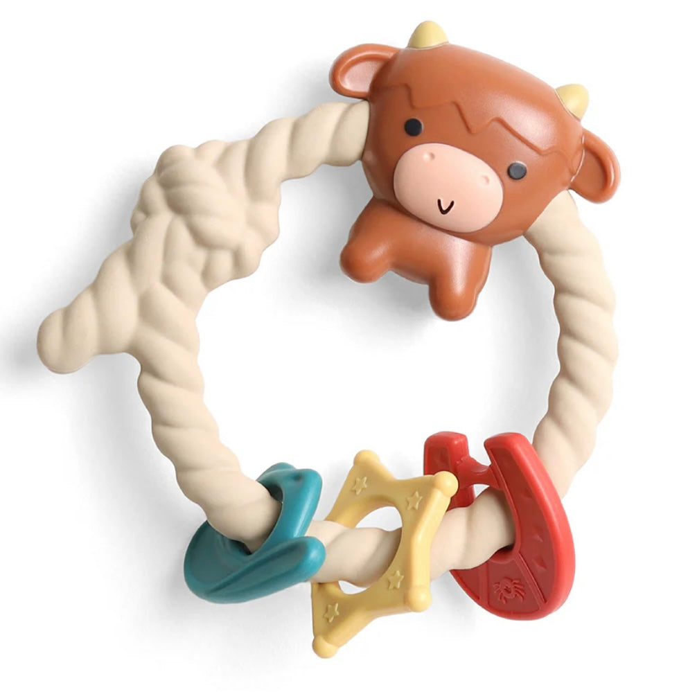 Itzy Ritzy Silicone Teether Rattles