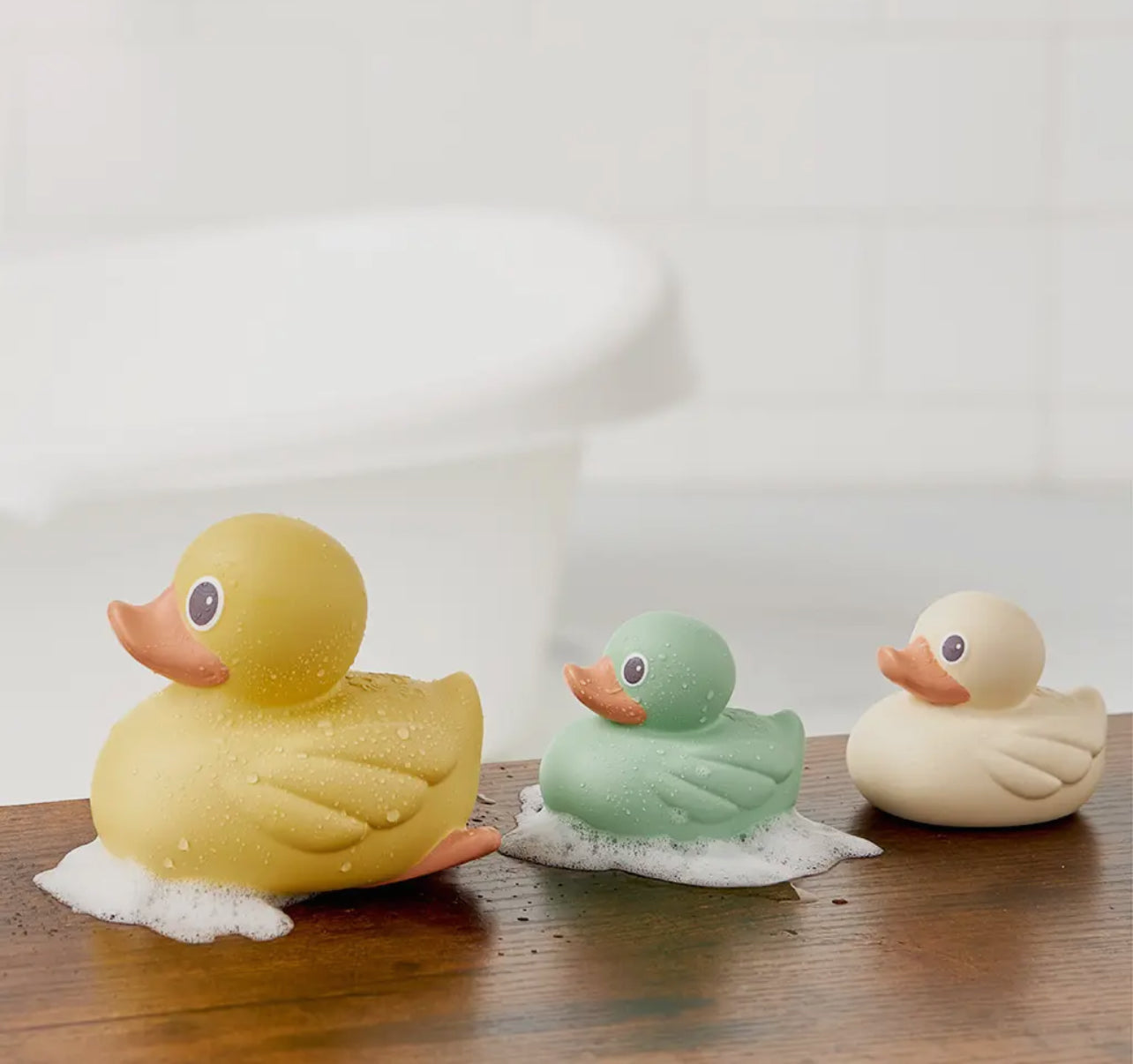 Itzy Ritzy Ducky Family