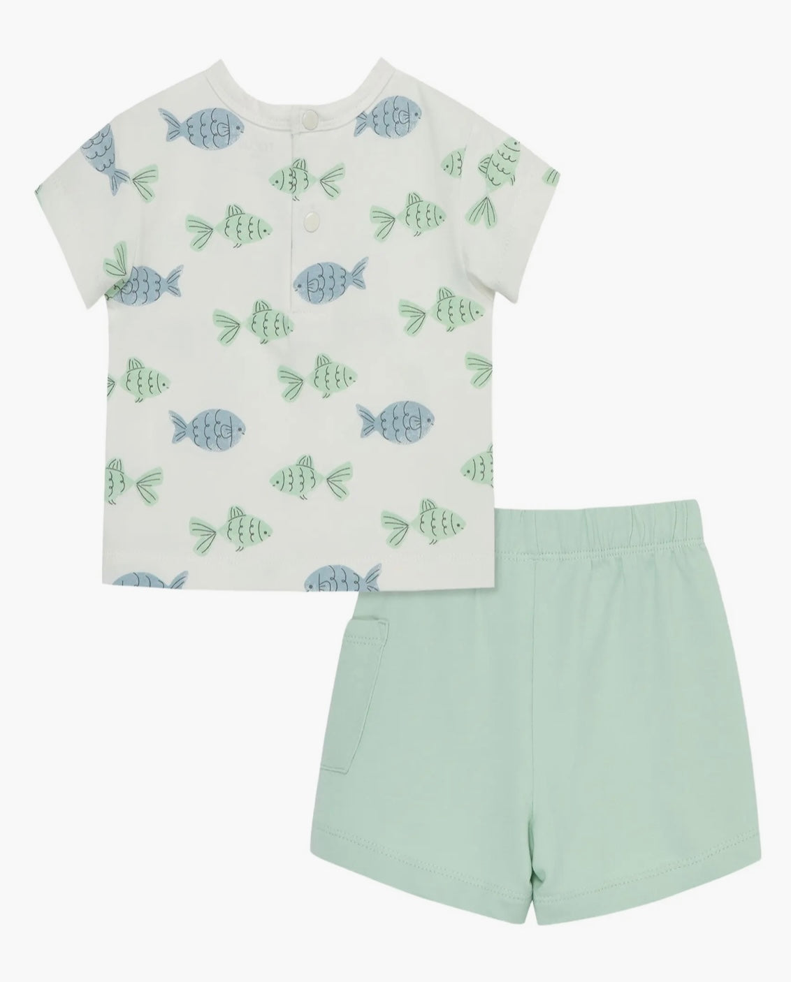 Focus Green Fish Short Set
