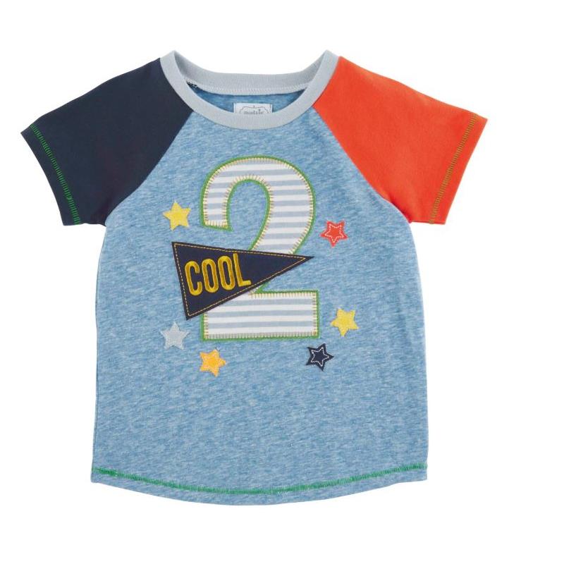 Mudpie Boy Birthday Tees