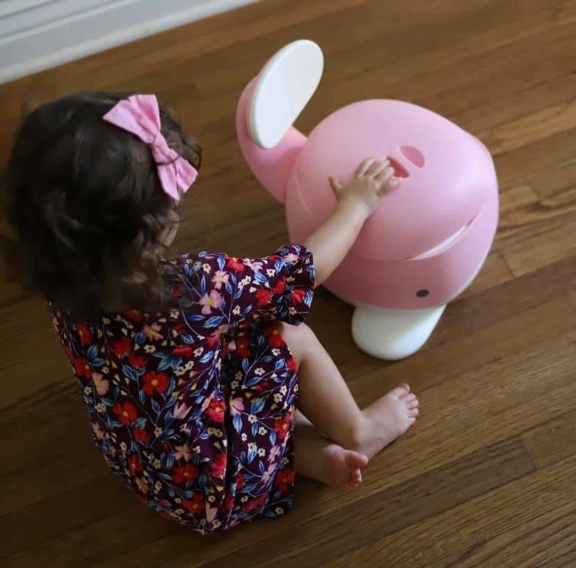 Potty Training Chair