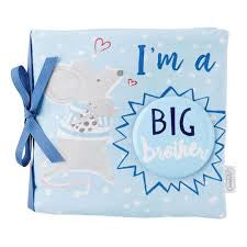 Mudpie Big Bother/Sister Book