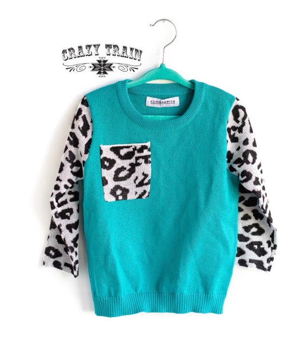 Crazy Train Frankly, My Dear Pullover