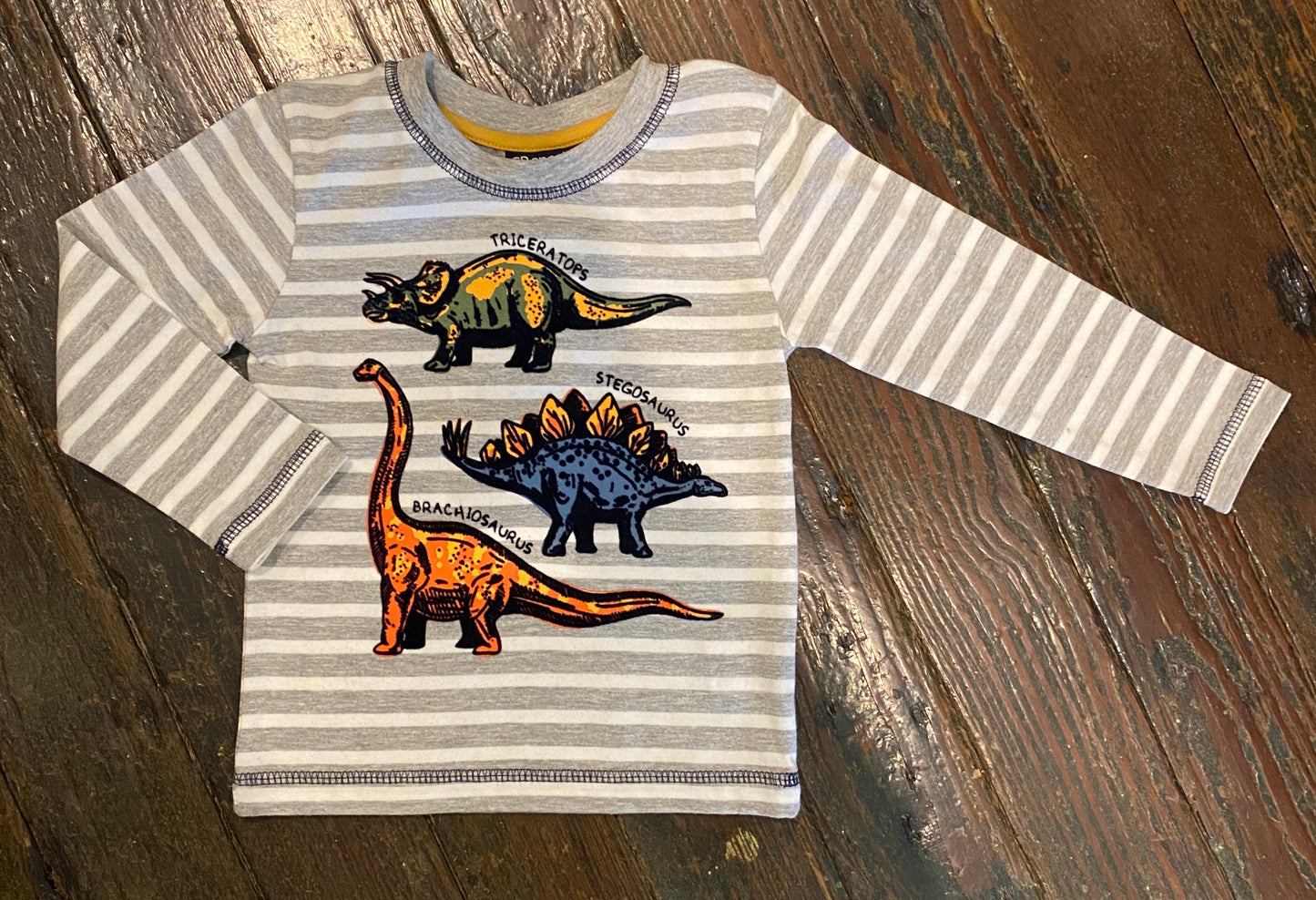 CRsports Dino LS