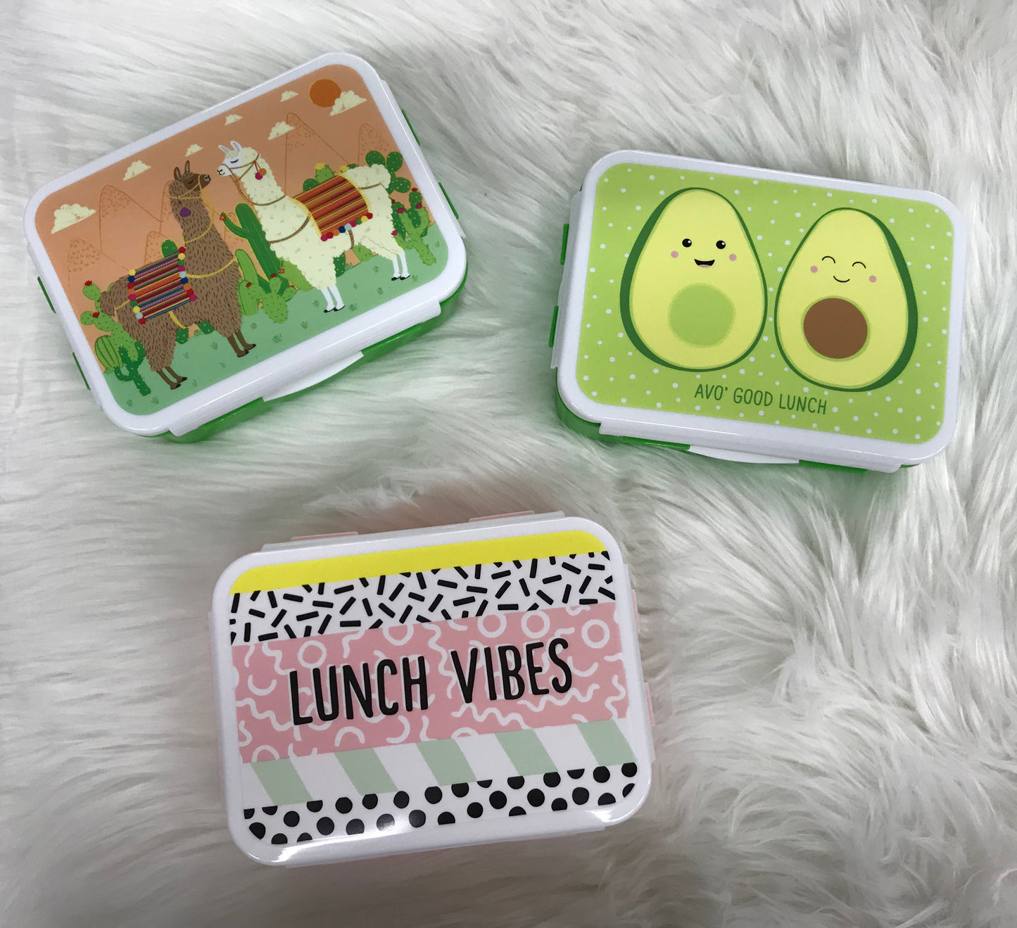 S&B Lunch Box