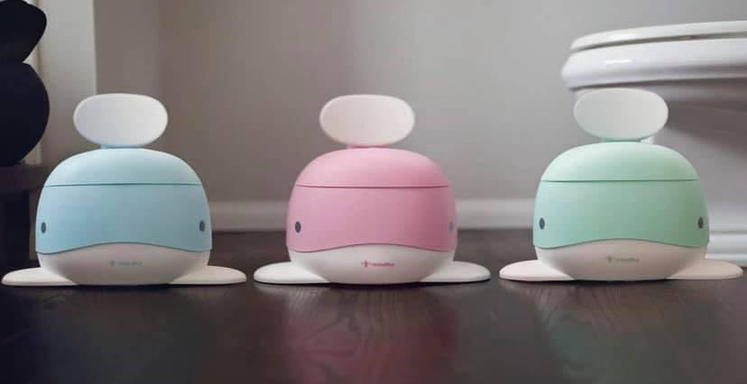 Potty Training Chair