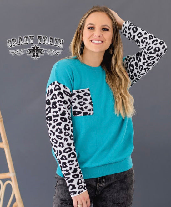 Crazy Train Frankly, My Dear Pullover