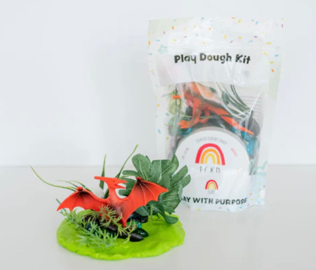 Play Dough Bagged To Go Kits