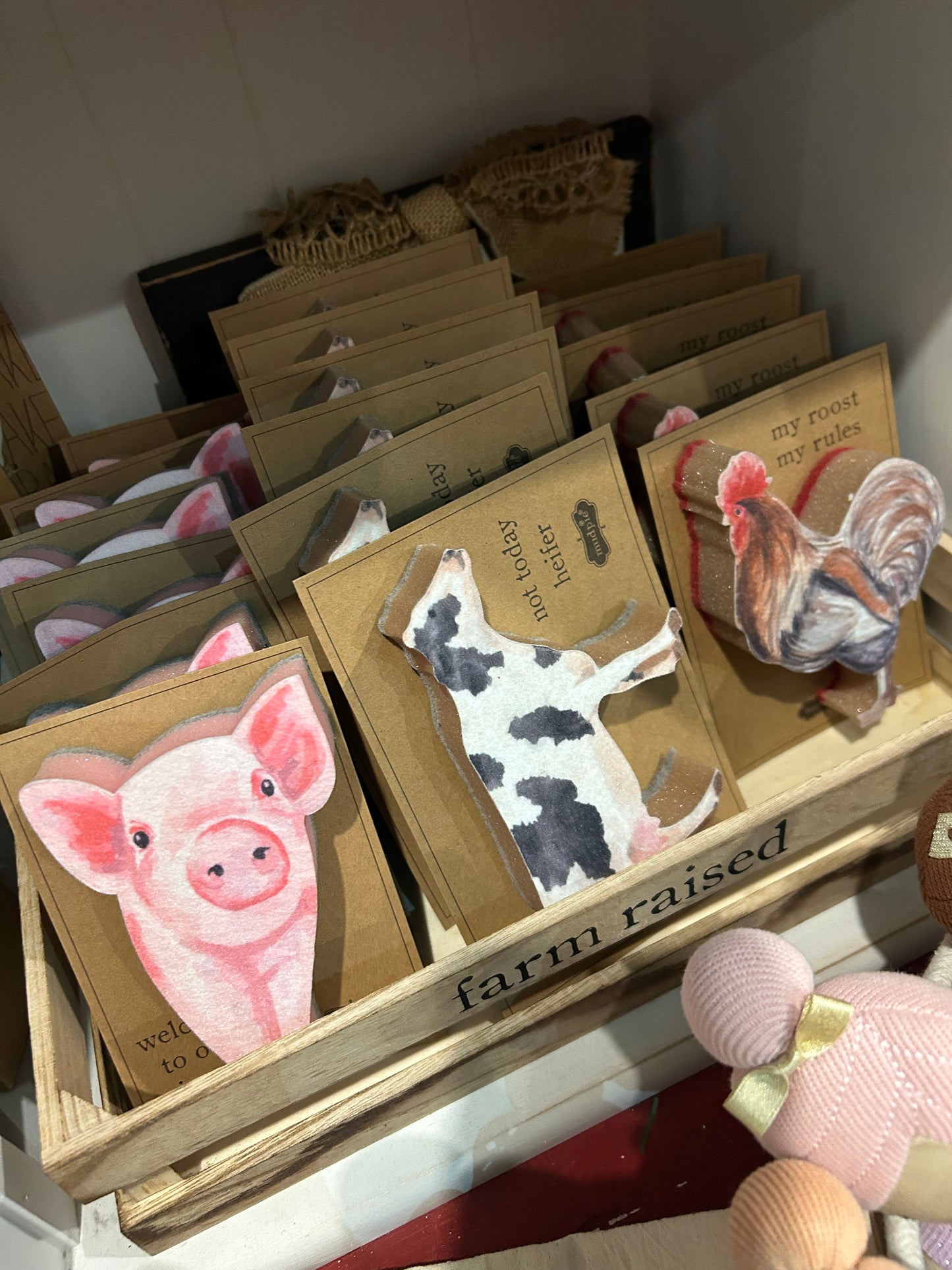Mudpie Farm Sponges