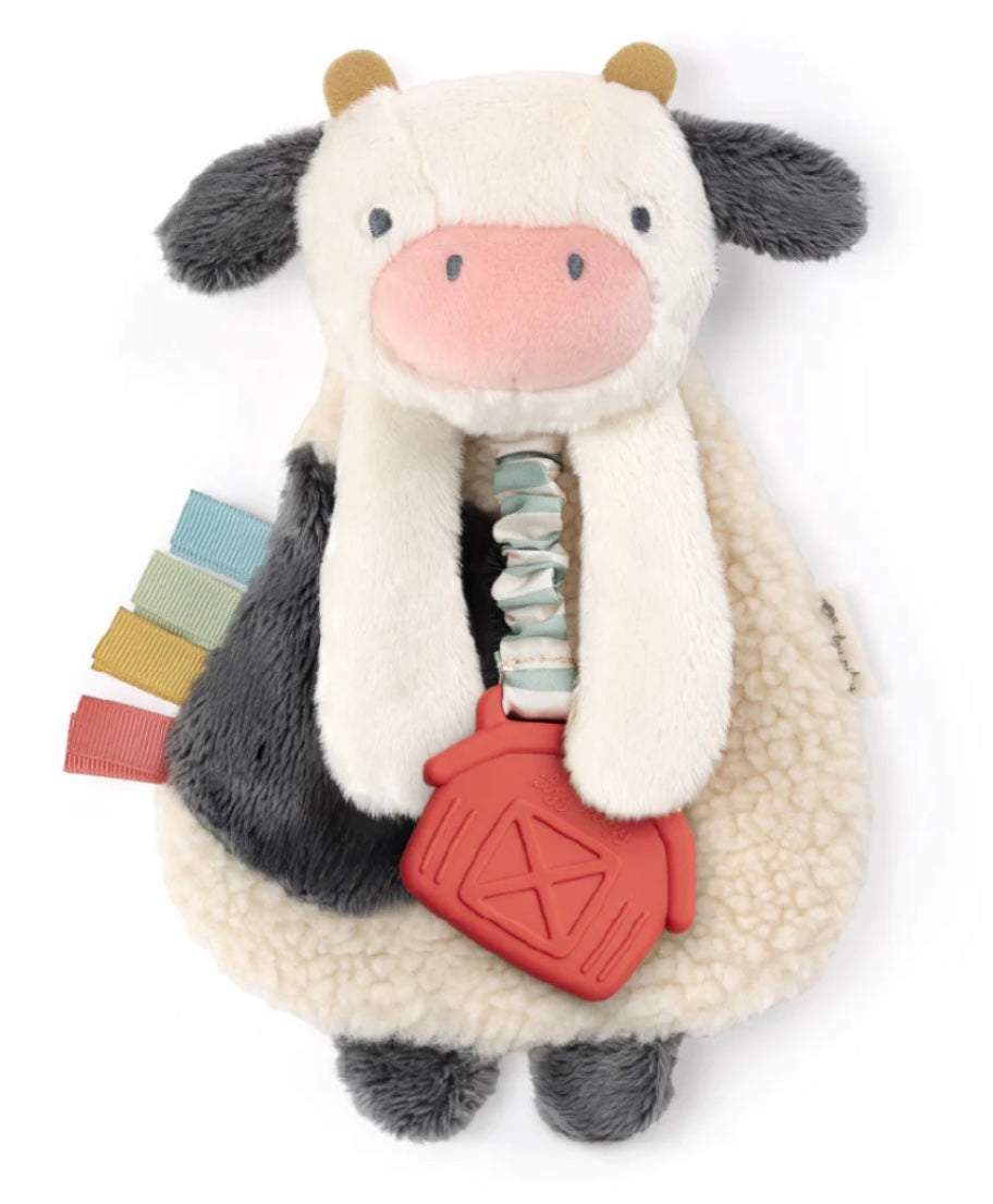 Itzy Lovey™ Plush and Teether Toy