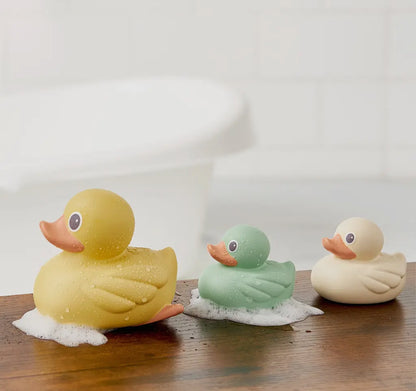 Itzy Ritzy Ducky Family