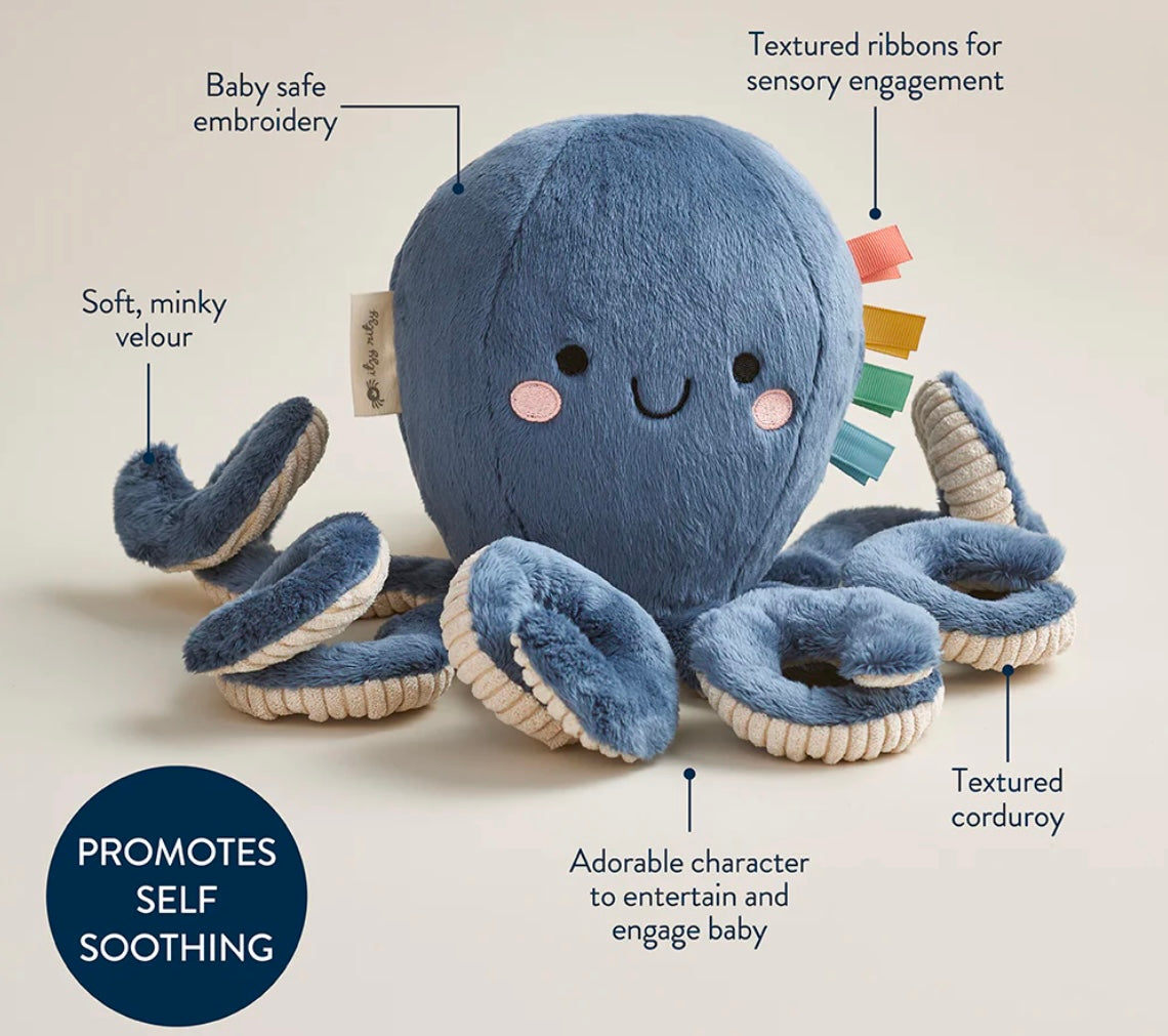 Itzy Ritzy Sweetie Snuggles