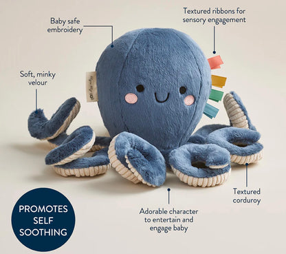 Itzy Ritzy Sweetie Snuggles