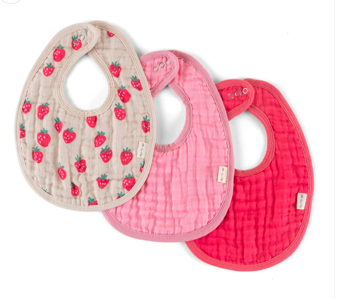 Itzy Ritzy Bibs