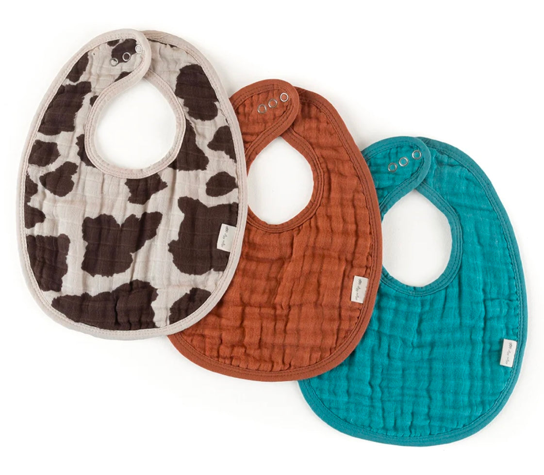Itzy Ritzy Bibs