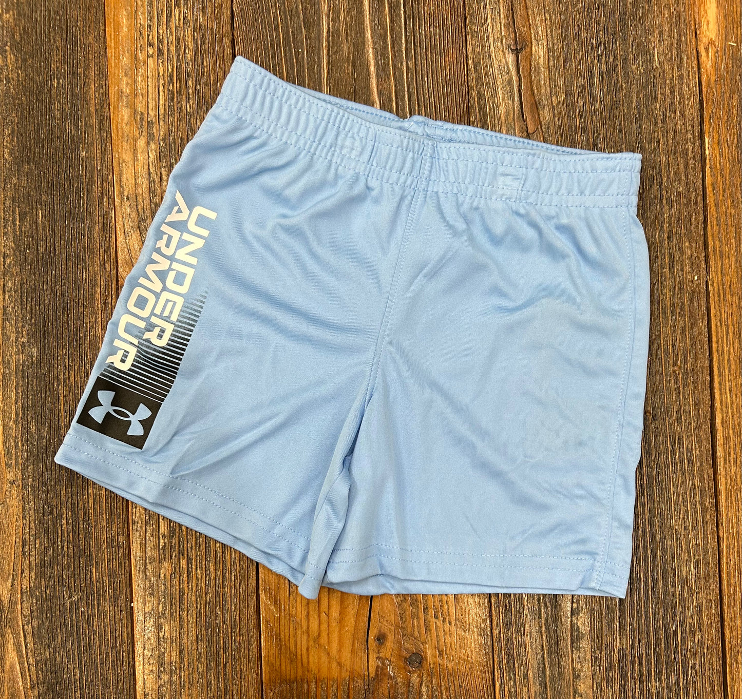 Under Armour Horizon Blue Wordmark Short