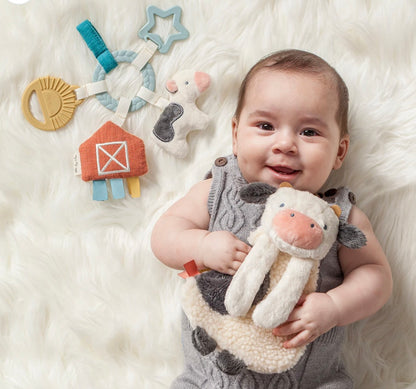 Itzy Ritzy Bitty Busy Farm Gift Set
