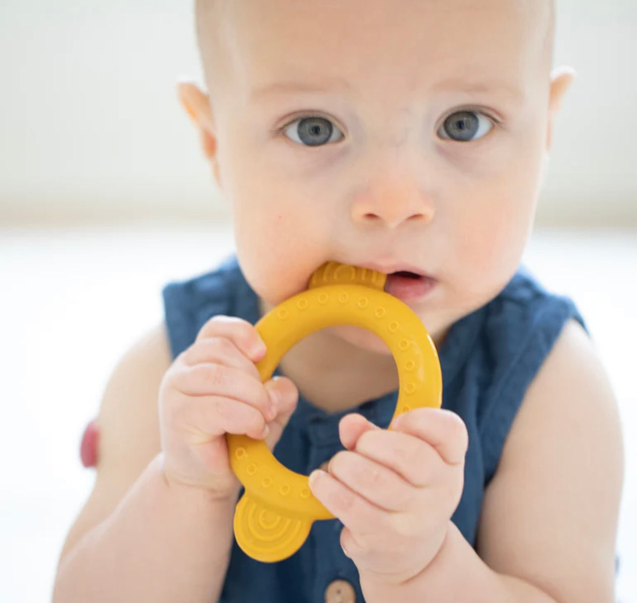 Bella Tunno Rattle Teether