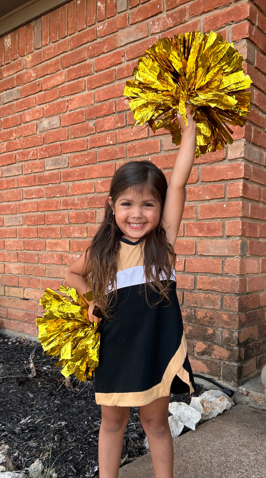 Cheer Dress