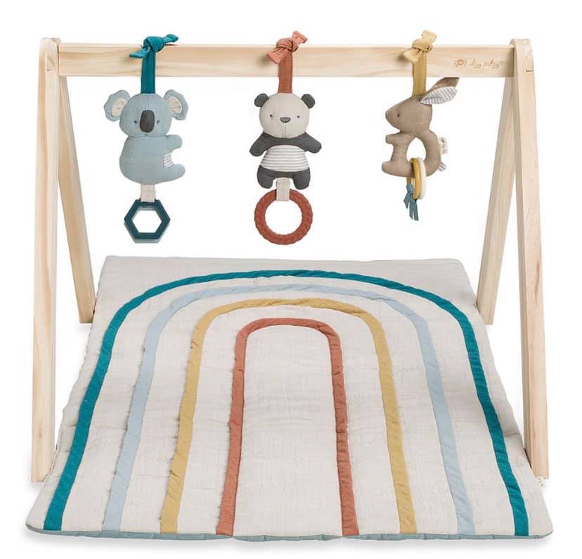 Itzy Ritzy Activity Gym