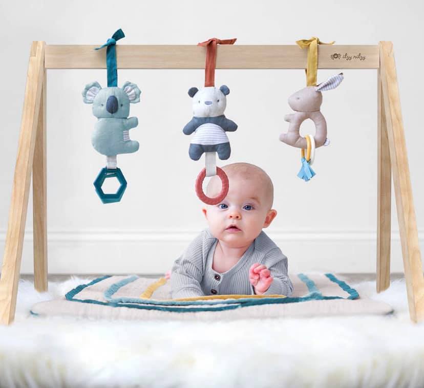 Itzy Ritzy Activity Gym