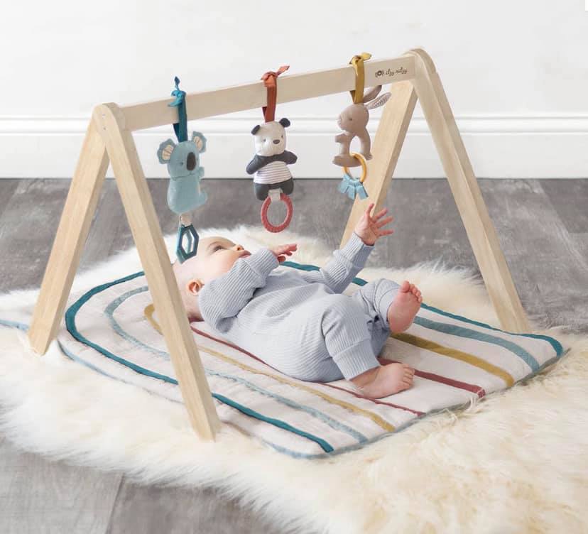 Itzy Ritzy Activity Gym