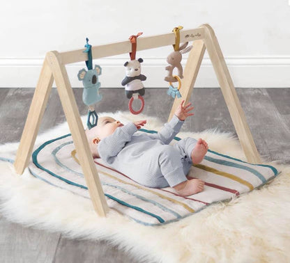 Itzy Ritzy Activity Gym