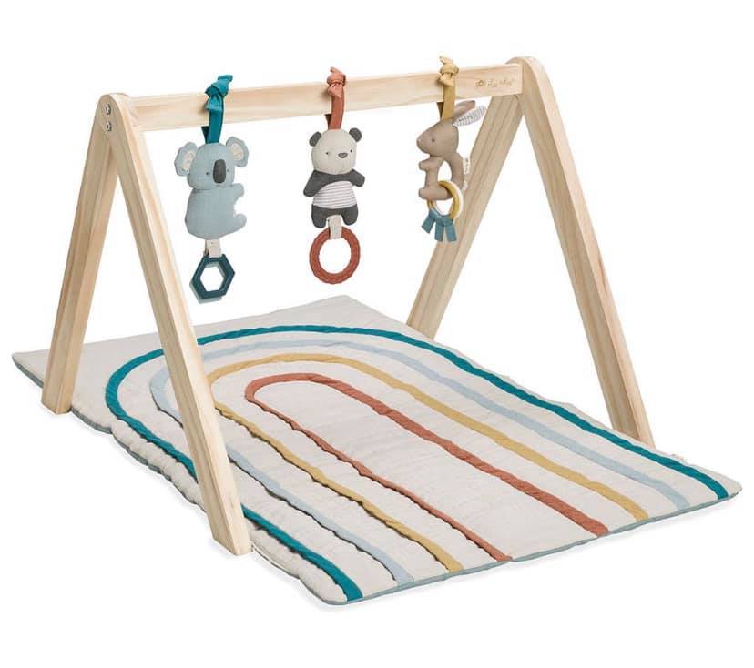 Itzy Ritzy Activity Gym