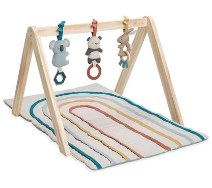 Itzy Ritzy Activity Gym