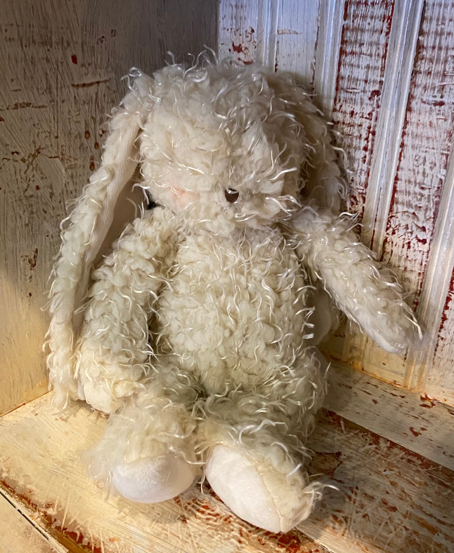 Harry the Bunny Rabbit