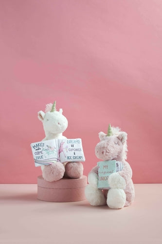 Mudpie Unicorn & Book