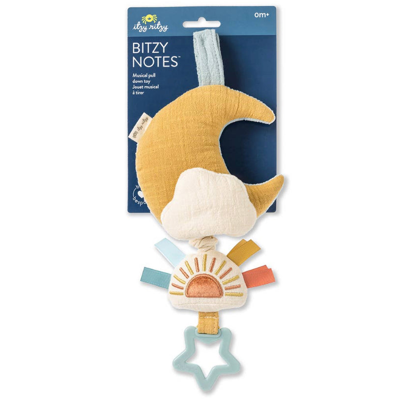 Itzy Ritzy Musical Pull Down Toy