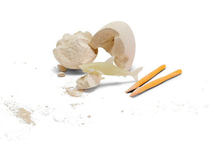 Deep Sea Shark Fossil Kit