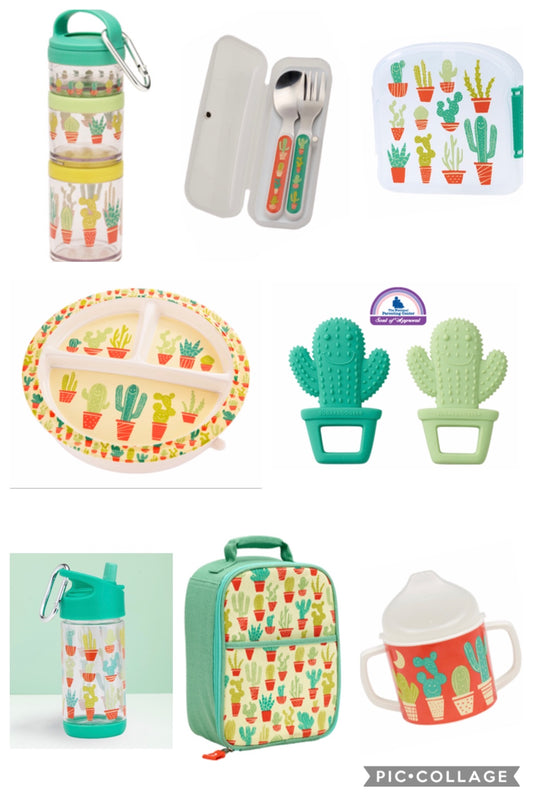 Happy Cactus Collection