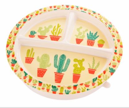 Happy Cactus Collection