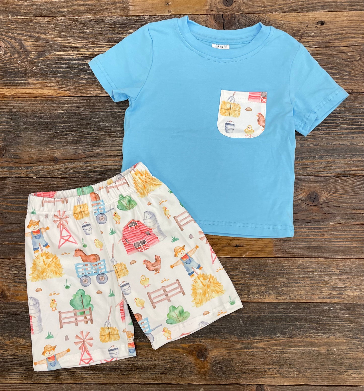 Baby Blue Farm Short Set