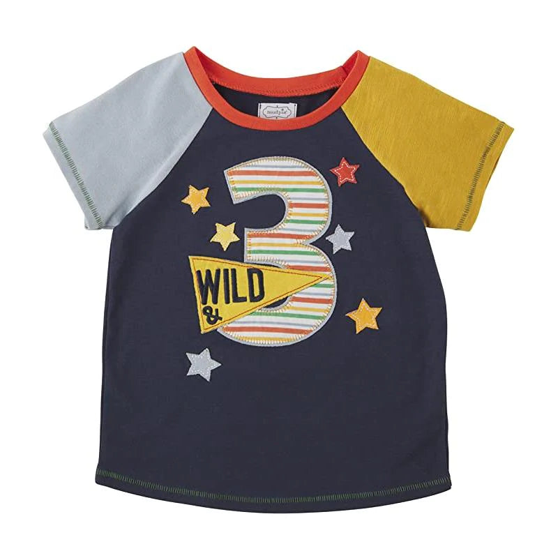 Mudpie Boy Birthday Tees
