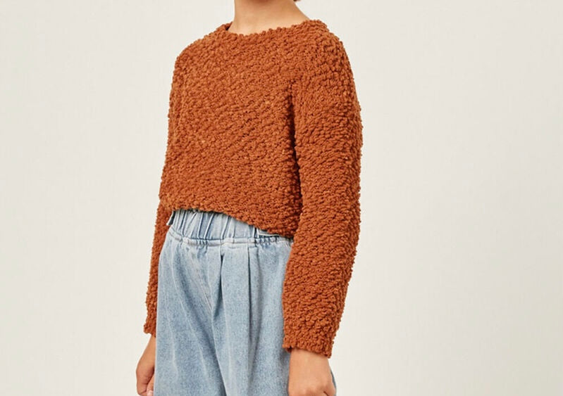 Hayden Popcorn Knit Pullover Sweater 2741